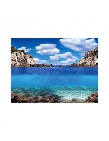 Achtergrond Poster Planten/Oceaan Aqua-NoVa - 5