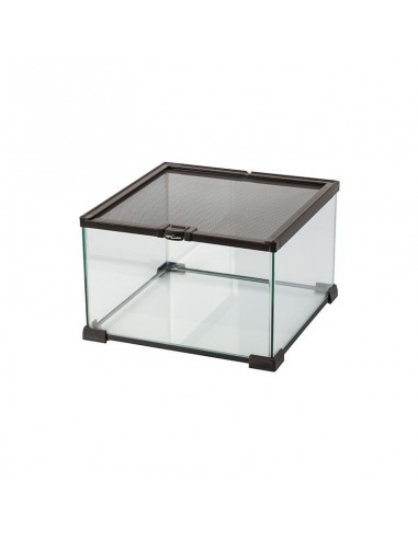 Terrarium 31x21x20cm Reptizoo Reptizoo - 1