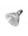 Reptizoo 100w Halogeen Vleklamp Reptizoo - 1