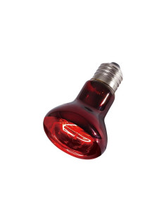 Infrarood verwarmingslamp Reptizoo Reptizoo - 2 2
