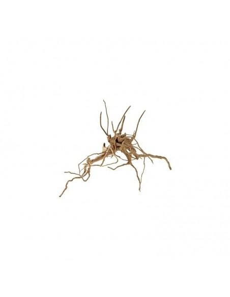 Racine Fingerwood L 40-60cm Hobby HOBBY - 2