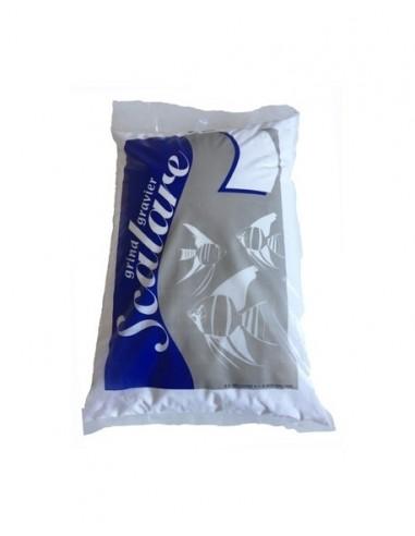 Scalare rivierzand Wit SCALARE - 1