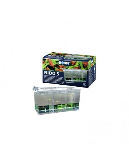 Nido 5 Nest Hobby HOBBY - 2
