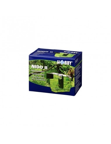Nido 2 Nest Hobby HOBBY - 1