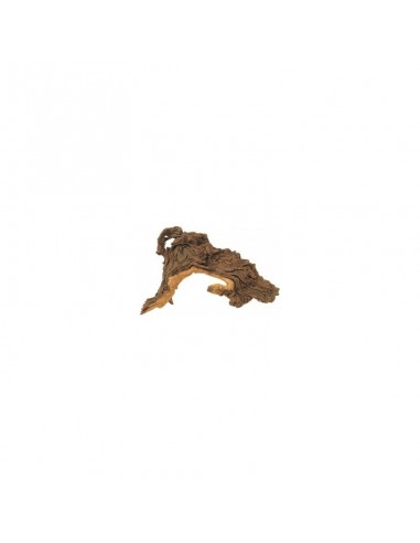 Mopani Wortel L 35-50cm Hobby HOBBY - 1