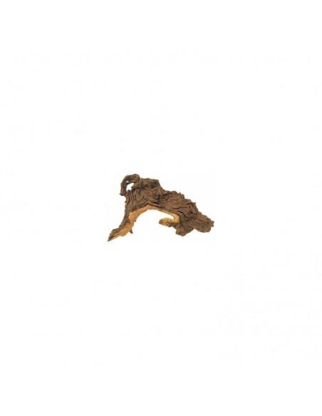 Racine Mopani L 35-50cm Hobby HOBBY - 1