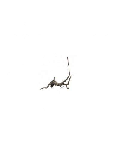 Root Fingerwood S Donker 20-30cm Hobby HOBBY - 3