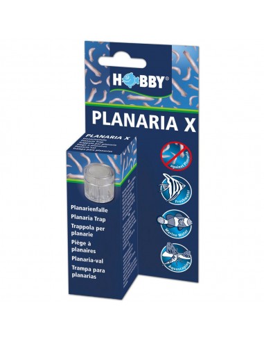 Planaria x Hobby Planar Trap HOBBY - 2