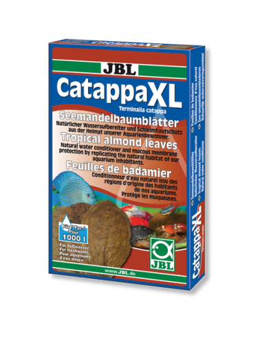Catappa xl Badamier Leaf JBL - 1