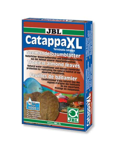 Catappa XL Feuilles de badamier JBL - 1