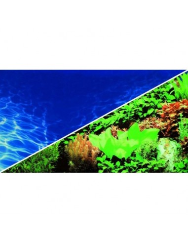 Poster Plantes 8/Marin Blue - Hobby HOBBY - 1