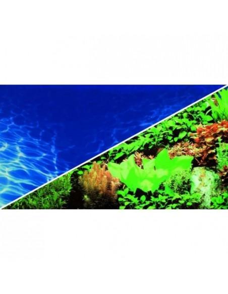 Poster Plantes 8/Marin Blue - Hobby HOBBY - 1