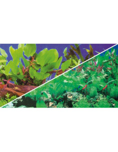Poster Plantes 1/5 - Hobby HOBBY - 2