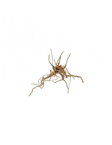 Root Fingerwood S 20-30cm Hobby HOBBY - 2