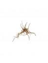 Racine Fingerwood S 20-30cm Hobby HOBBY - 2