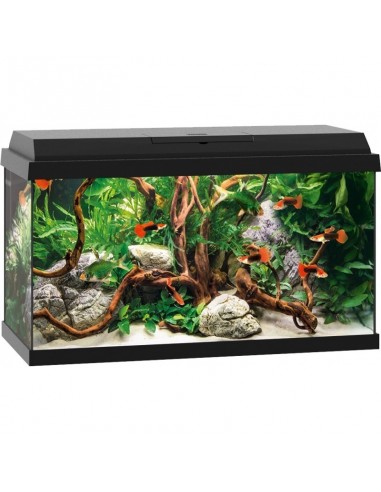 Aquarium Primo 60 Zwart Juwel JUWEL - 1