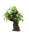 Mbuna L met Anubias nana - 25 x 16 x 46 cm  - 1
