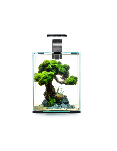 Aquarium Shrimpset Smart D&N 19L AQUAEL - 1