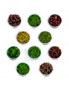 Lot de pots in-vitro  - 1