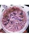 Cryptocoryne wendtii Flamingo INVITRO  - 1