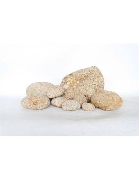 Tamago Rock AquaBota - 1