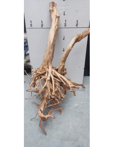 Wood Stump 2 AQUA DECO - 1