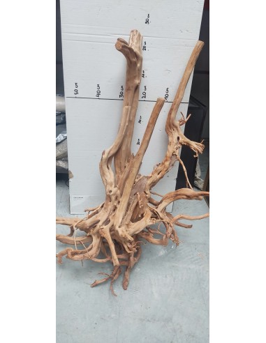 Wood Stump 8 AQUA DECO - 1