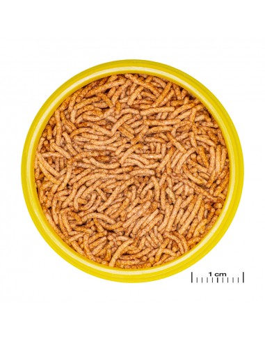 Pronovo Betta - Insect - 100 ml - Granulé pour combattants JBL - 2