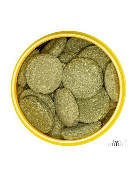 PRONOVO PLECO WAFER XL JBL - 1