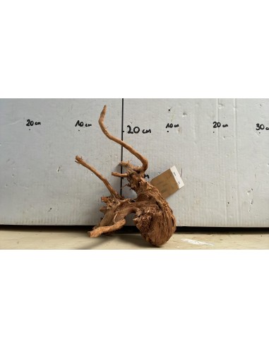Racine Spiderwood 1626  - 1