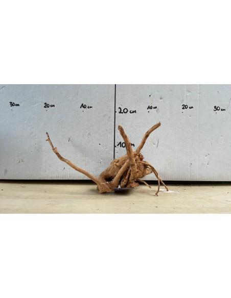 Racine Spiderwood 1790  - 1