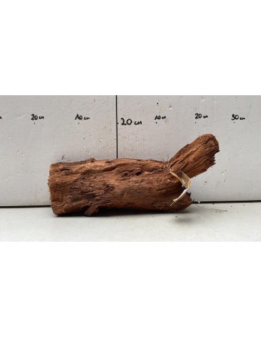 Racine Driftwood XL 2021  - 1