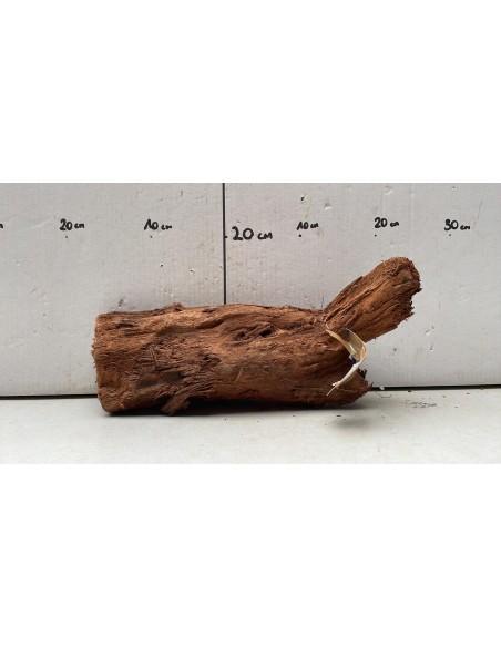Racine Driftwood XL 2021  - 1