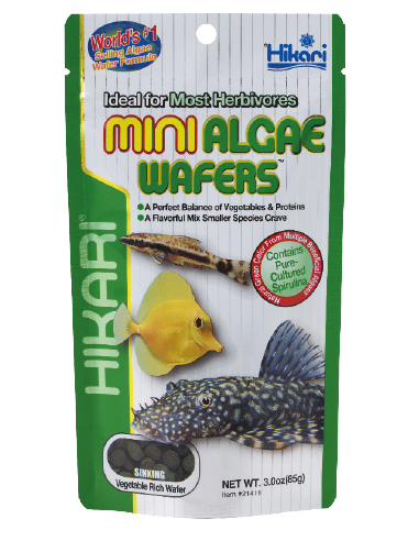Hikari Mini Algae Wafers 45gr hikari - 1
