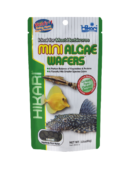 Hikari Mini Algae Wafers 45gr hikari - 1