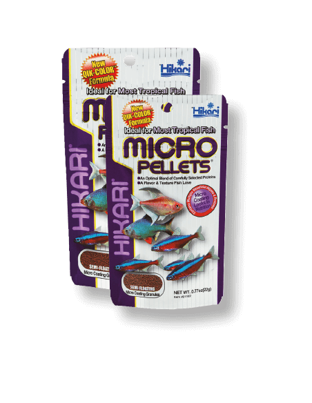 Hikari Micro Pellets 45 GR hikari - 1