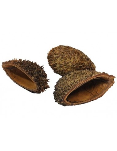 Bolsa pod 8-12cm AquaBota - 1