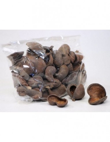 Badam nut 5-8cm AquaBota - 1