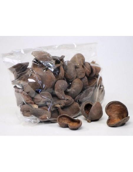 Badam nut 5-8cm AquaBota - 1
