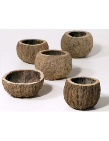 Half coconut 8-10cm piece AquaBota - 1