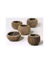 Half coconut 8-10cm unit AquaBota - 1