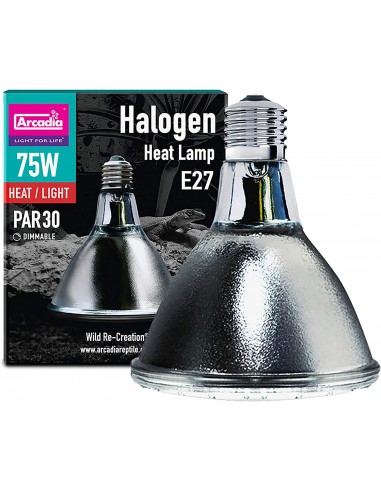 Arcadia Halogen Basking Spot (E27) 75 Watt Arcadia - 2