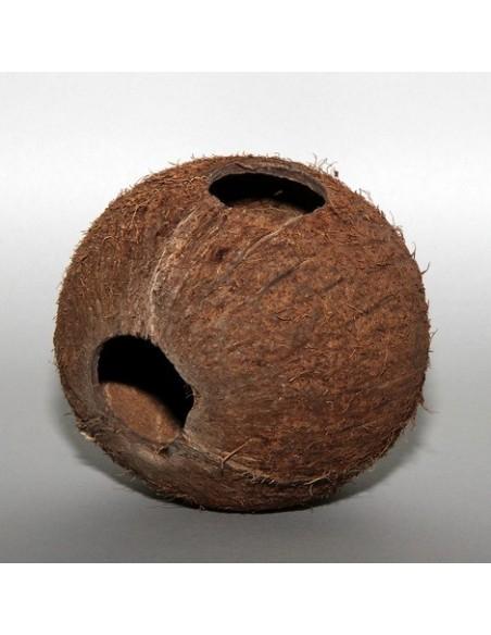 Cocos Cava 1/1m  JBL JBL - 1