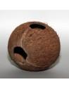 Cocos Cava 1/1m  JBL JBL - 1