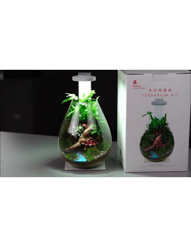 Set Wabi Kusa complet Chihiros Aquatic - 1