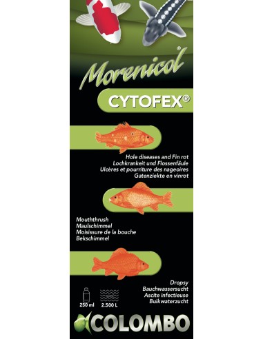 Cytofex 250 ml/2500L Colombo - 1