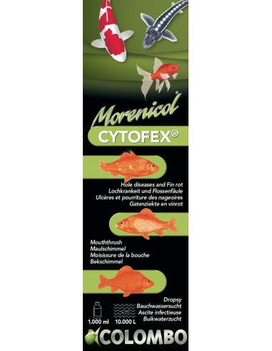 Cytofex 1000ml/10.000L Colombo - 1