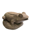 Superfish Filtre grenouille SuperFish - 2