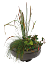 Panier Plante Flottant Ø 30cm SuperFish - 1