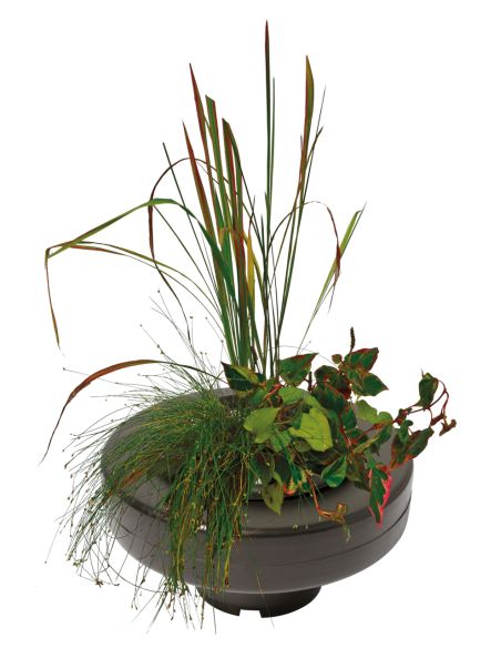 Panier Plante Flottant Ø 22cm SuperFish - 1